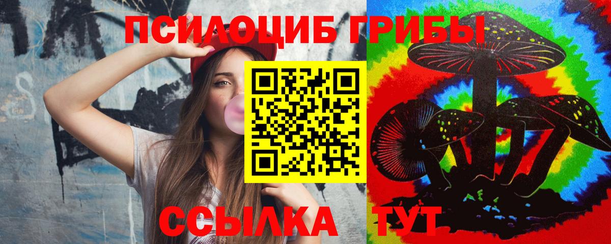 Галлюциногенные грибы Psilocybe Обь